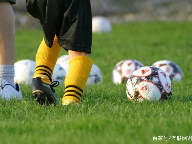 d88尊龙概况